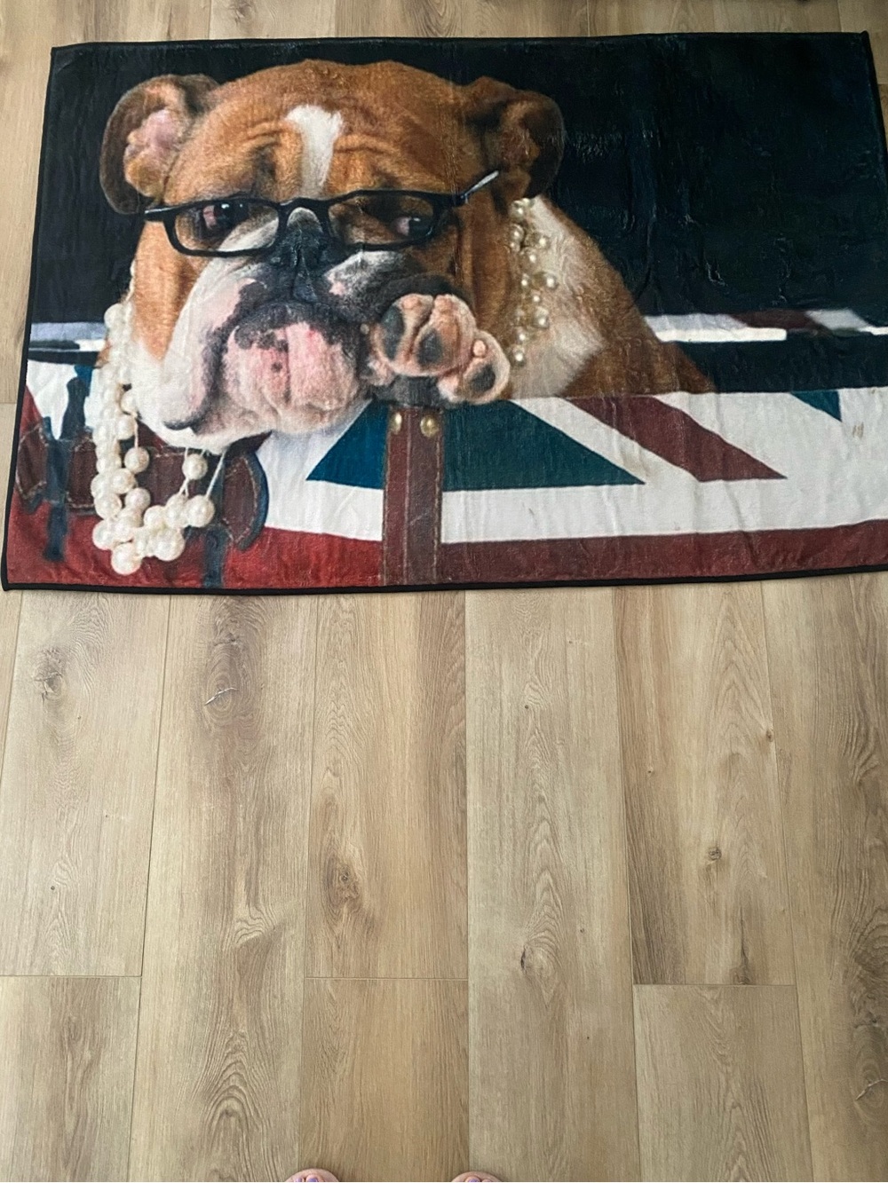 3x5 English bulldog rug